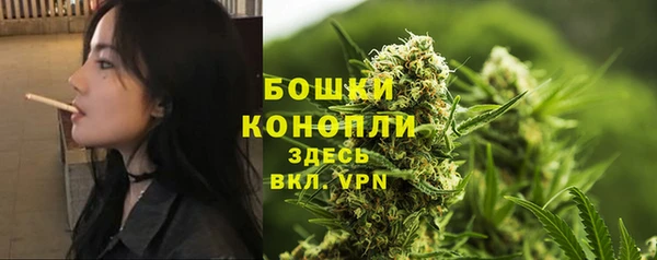 гашик Володарск